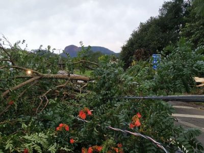 Frente fria traz tempestades e ventos fortes ao Sul do Brasil, com alertas de chuvas intensas e granizo em diversas regiões