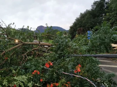 Frente fria traz tempestades e ventos fortes ao Sul do Brasil, com alertas de chuvas intensas e granizo em diversas regiões
