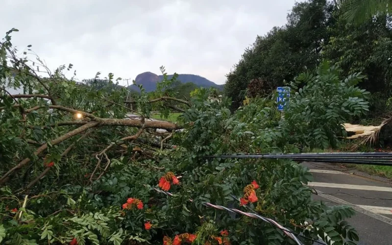 Frente fria traz tempestades e ventos fortes ao Sul do Brasil, com alertas de chuvas intensas e granizo em diversas regiões