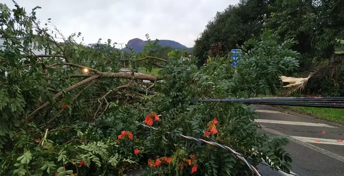 Frente fria gera alerta de tempestades e granizo no Sul do Brasil com previsão de chuvas intensas e riscos de alagamentos