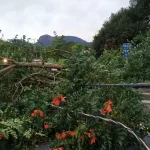 Frente fria gera alerta de tempestades e granizo no Sul do Brasil com previsão de chuvas intensas e riscos de alagamentos