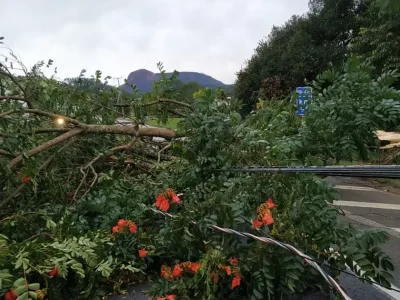Frente fria gera alerta de tempestades e granizo no Sul do Brasil com previsão de chuvas intensas e riscos de alagamentos