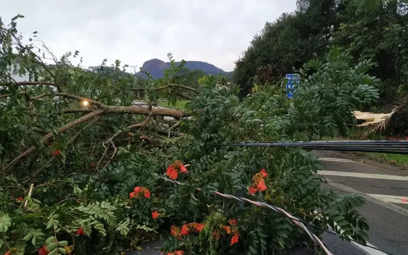 Frente fria gera alerta de tempestades e granizo no Sul do Brasil com previsão de chuvas intensas e riscos de alagamentos