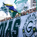 Goiás busca vitória em casa contra o Avaí para se aproximar do acesso na Série B