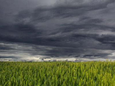 Alerta de tempestade no Sul: chuvas intensas e vento forte no Rio Grande do Sul, sul de Santa Catarina e sudoeste do Paraná