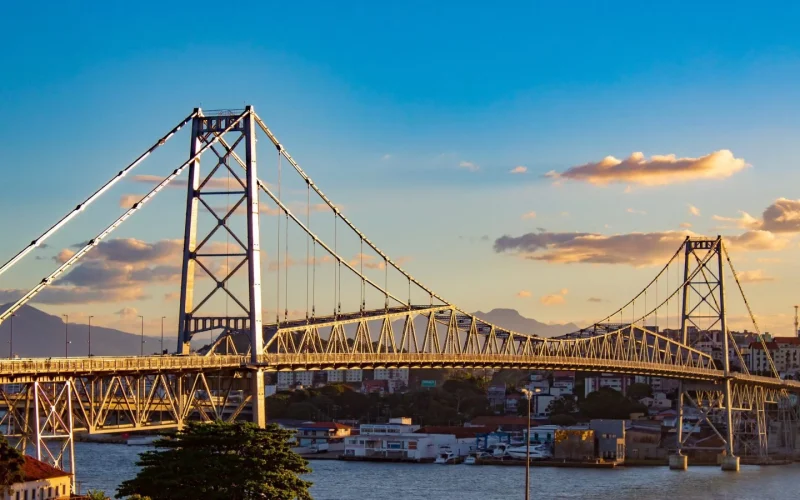 Santa Catarina se torna o segundo maior polo de empregos em tecnologia do Brasil, com 34,2 mil empresas e 102,2 mil profissionais na área