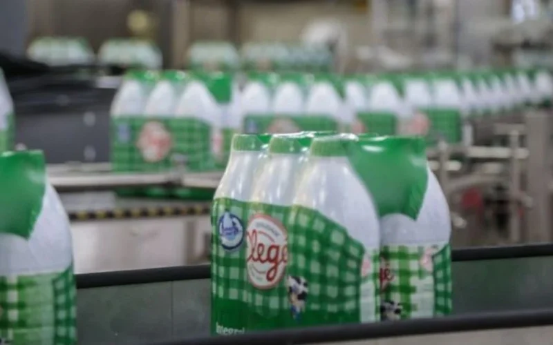 Lactalis investirá R$ 285 milhões na expansão de fábricas em Carambeí e Londrina, no Paraná