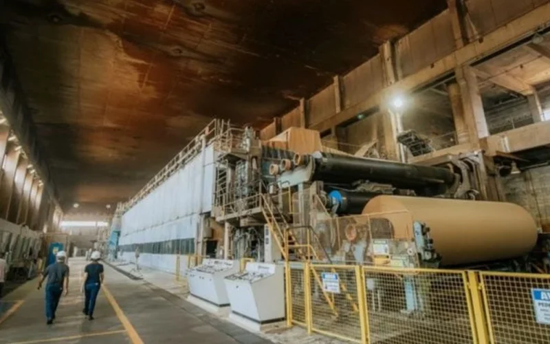 BO Paper investirá R$ 93 milhões em expansão de fábrica em Jaguariaíva, PR, com foco em papel de embalagem sustentável