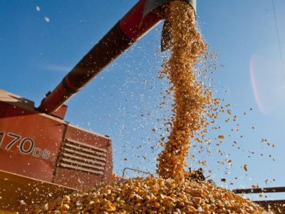 Sul do Brasil registra crescimento econômico de 3,1% em 2025, impulsionado pela agropecuária e indústria