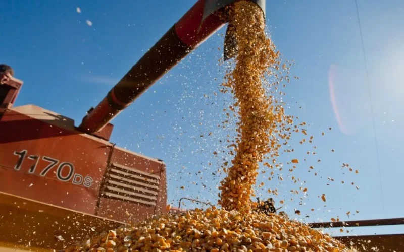Sul do Brasil registra crescimento econômico de 3,1% em 2025, impulsionado pela agropecuária e indústria