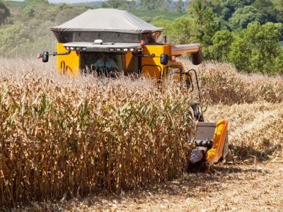 Economia do Rio Grande do Sul cresce 2% em 2019, impulsionada pela agropecuária