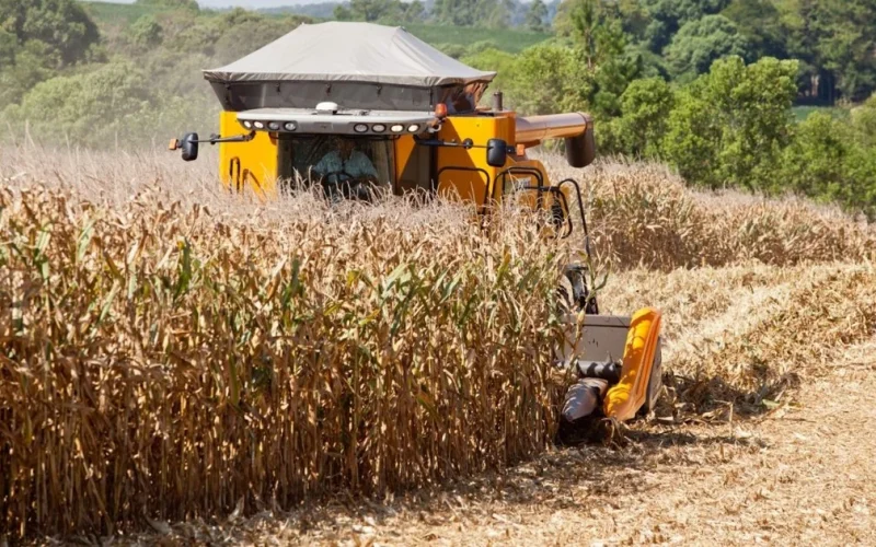 Economia do Rio Grande do Sul cresce 2% em 2019, impulsionada pela agropecuária