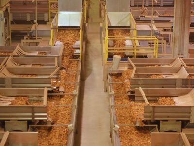 Alliance One inicia processamento de tabaco em Santa Catarina com nova unidade em Pouso Redondo