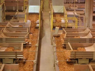 Alliance One inicia processamento de tabaco em Santa Catarina com nova unidade em Pouso Redondo