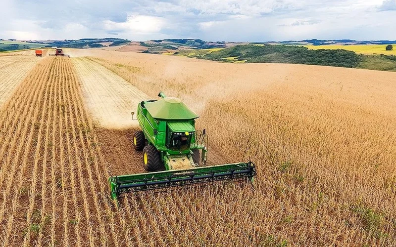 Santa Catarina registra safra recorde de grãos com crescimento de 20,7% na produção