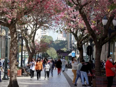 Paraná supera Santa Catarina e registra o menor Índice de Gini do Sul do Brasil em 2020