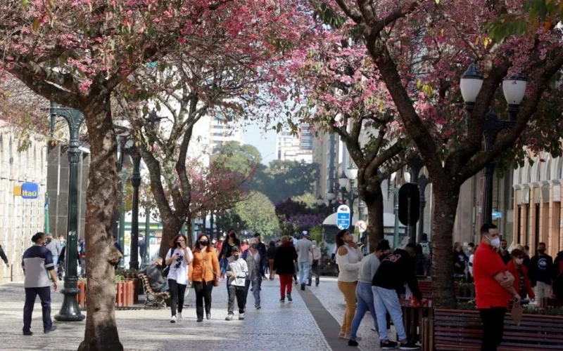 Paraná supera Santa Catarina e registra o menor Índice de Gini do Sul do Brasil em 2020