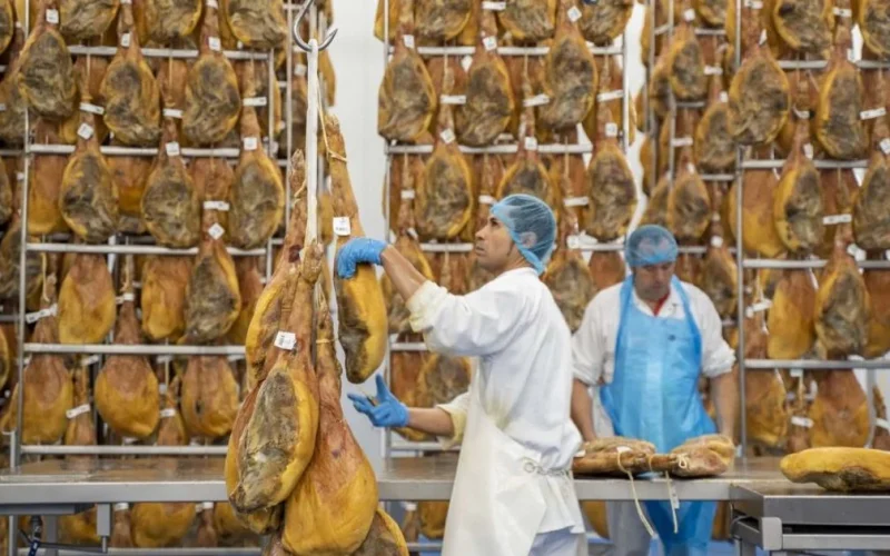 Grupo espanhol Vall Companys anuncia investimento de R$ 800 milhões em nova unidade em Videira, Santa Catarina