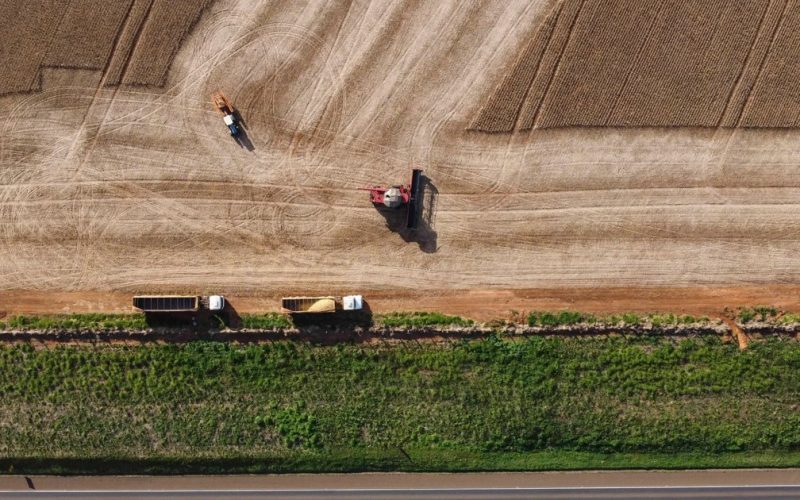Atividade econômica da região Sul se estabiliza em agosto, aponta IBCR