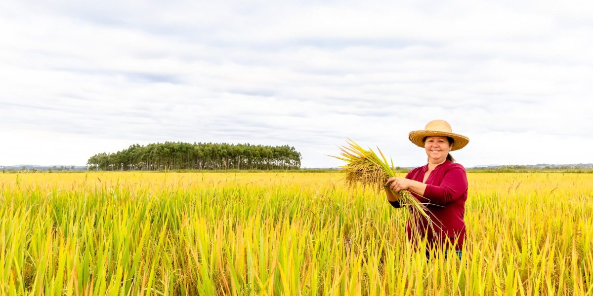 Risco econômico para agricultores do Sul com a política de privatizações de Flávio Bolsonaro