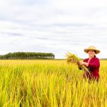 Risco econômico para agricultores do Sul com a política de privatizações de Flávio Bolsonaro