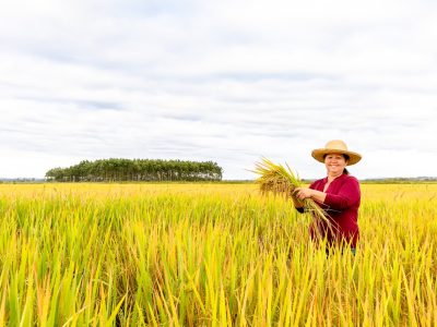 Risco econômico para agricultores do Sul com a política de privatizações de Flávio Bolsonaro
