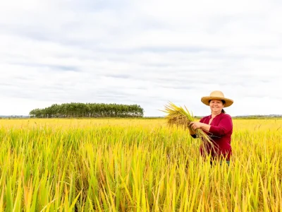 Risco econômico para agricultores do Sul com a política de privatizações de Flávio Bolsonaro