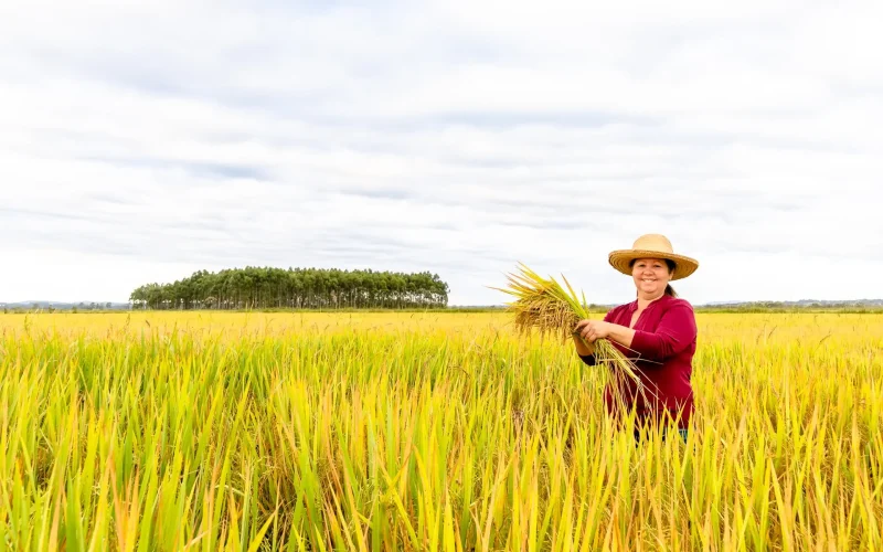 Risco econômico para agricultores do Sul com a política de privatizações de Flávio Bolsonaro