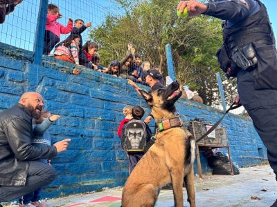 Guarda Municipal de Novo Hamburgo inicia curso de condutor de cães de polícia com agentes de diversas forças de segurança