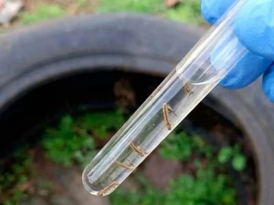 Realeza realiza Levantamento Rápido de Índices para controle da dengue