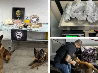 Polícia Civil de Santa Catarina apreende drogas e contrabando com ajuda de cães farejadores em operação nas divisas do estado