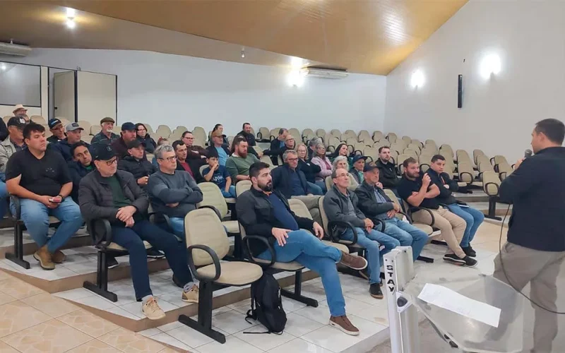 Copel detalha estragos e interrupções no fornecimento de energia em Francisco Beltrão após recentes temporais