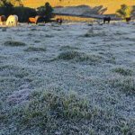 Nova massa de ar frio pode trazer geada e temperaturas próximas de 0°C na Serra Gaúcha entre domingo e terça-feira