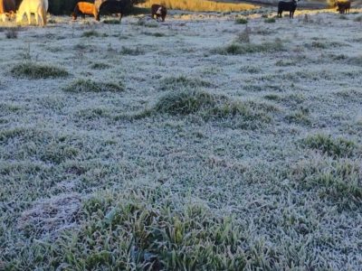 Nova massa de ar frio pode trazer geada e temperaturas próximas de 0°C na Serra Gaúcha entre domingo e terça-feira